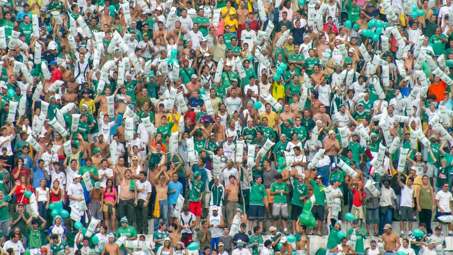 博乐体育 APP — 营业执照与资质公示示意配图